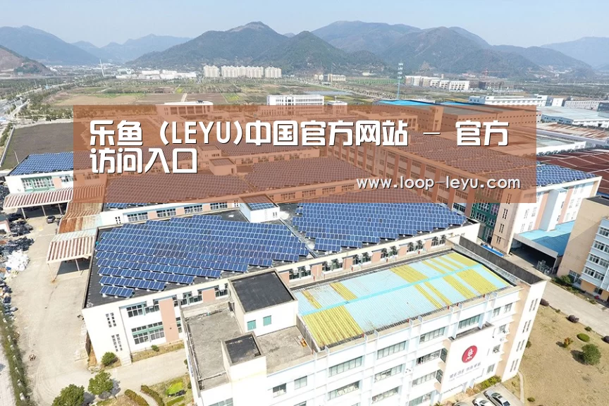案例展示一