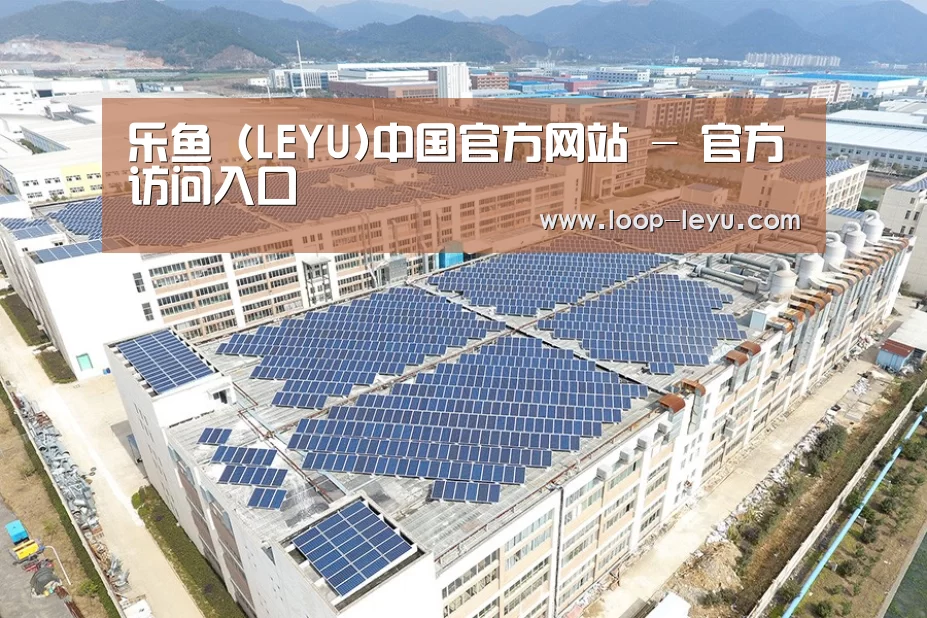 案例展示二