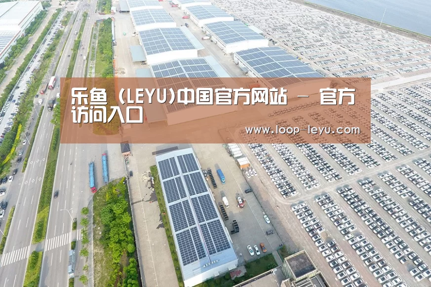 案例展示四