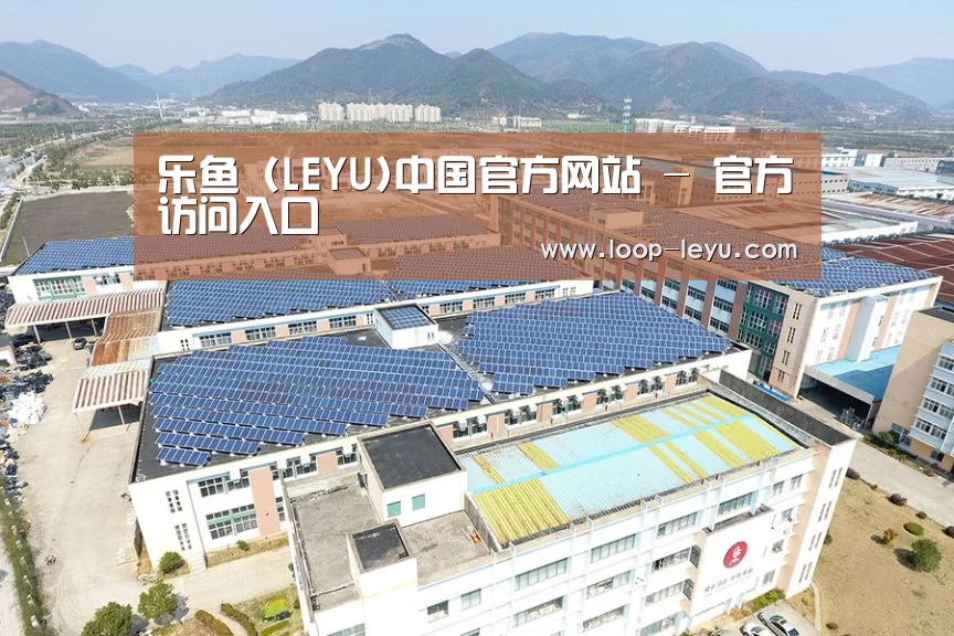 案例展示三