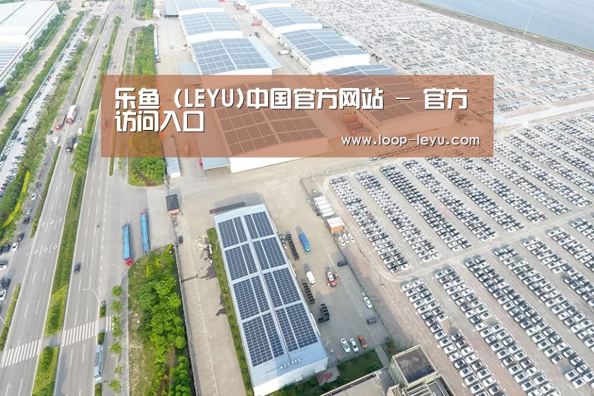案例展示二