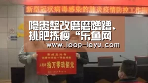 隐患整改磨磨蹭蹭、挑肥拣瘦“乐鱼网址”(图3) 乐鱼app