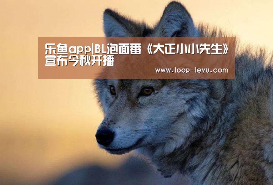乐鱼体育APP